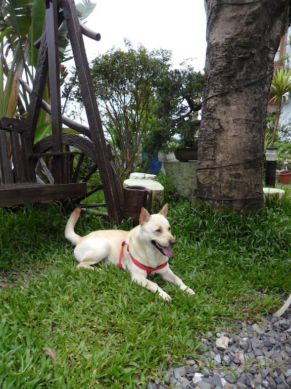 Beautiful Yilan Resort Dongshan  Exteriör bild
