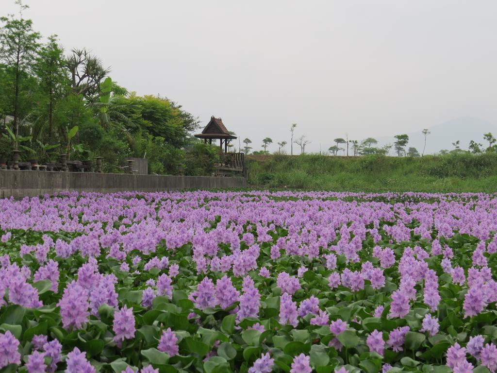 Beautiful Yilan Resort Dongshan  Exteriör bild