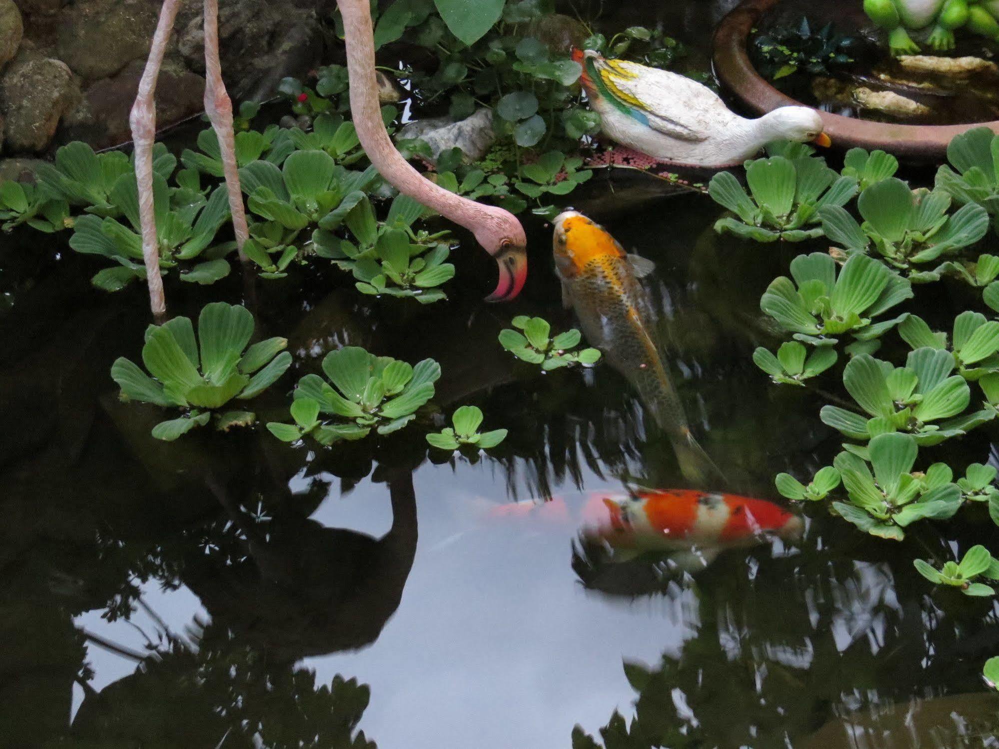 Beautiful Yilan Resort Dongshan  Exteriör bild